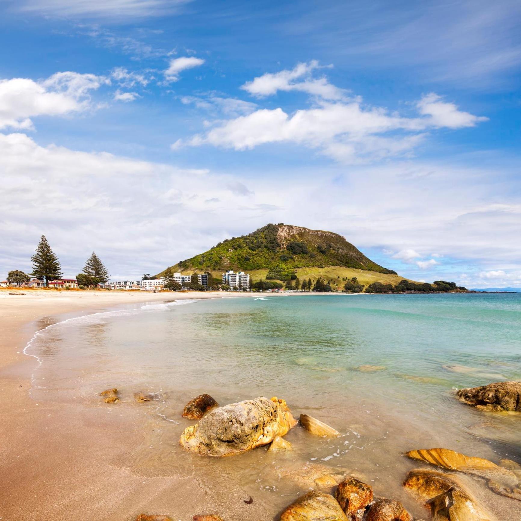 Sunny And Spacious - Moments From The Beach And Downtown Mount Maunganui Εξωτερικό φωτογραφία